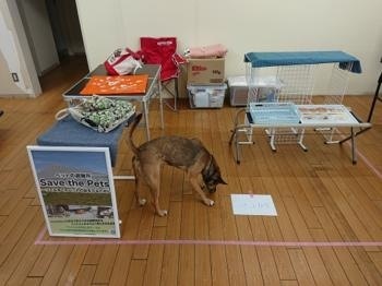 190727-5.jpg