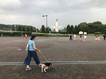 190727-7.jpg
