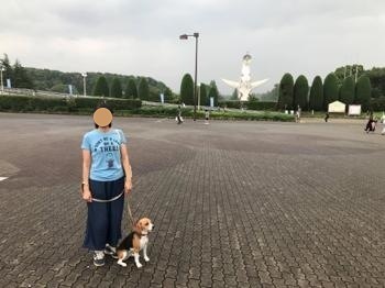 190727-8.jpg