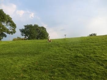 190731-23.jpg