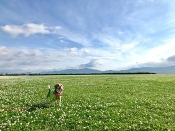 190801-9.jpg