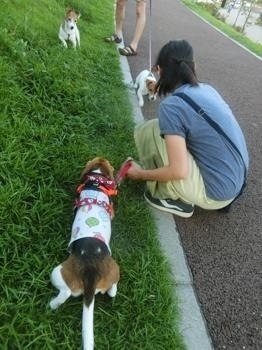 190804-11.jpg