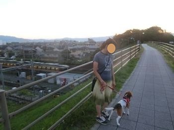 190804-16.jpg
