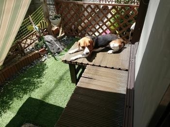 190805-1.jpg