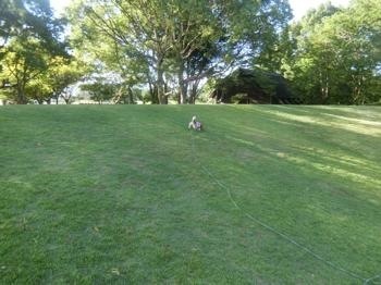 190805-7.jpg