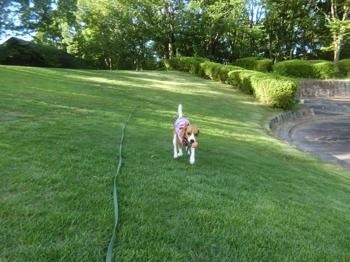 190805-8.jpg
