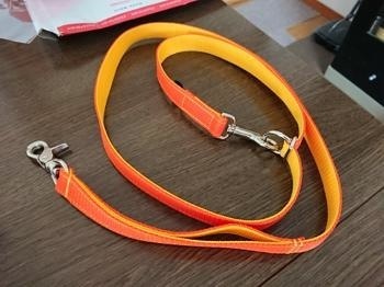 190807-5.jpg