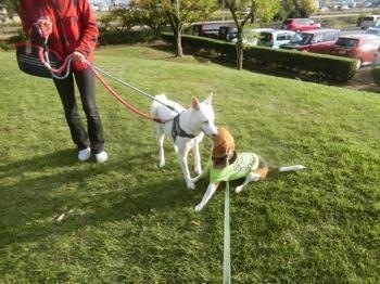 191027-11.jpg