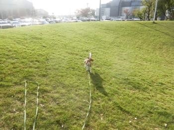 191027-4.jpg