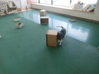 191205-16.jpg