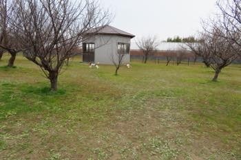 200114-21.jpg